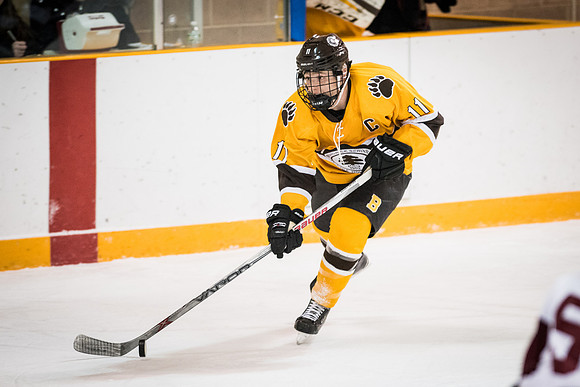 hockey_2017-02-10_wkl_2704