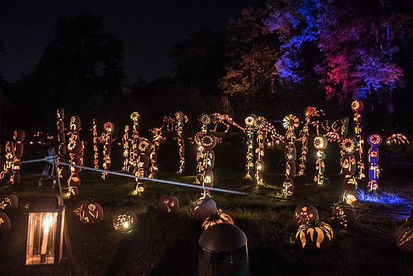 pumpkinblaze_hp_8448