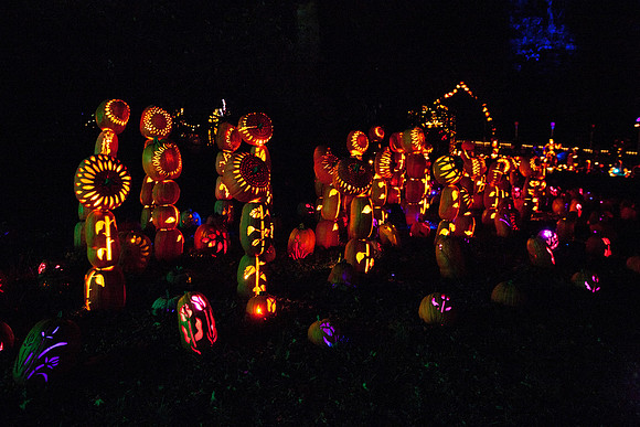 pumpkinblaze19_mkras_0019
