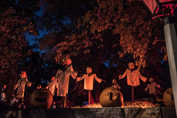 pumpkinblaze_hp_8201