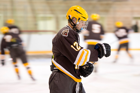 hockey_dburns_1003