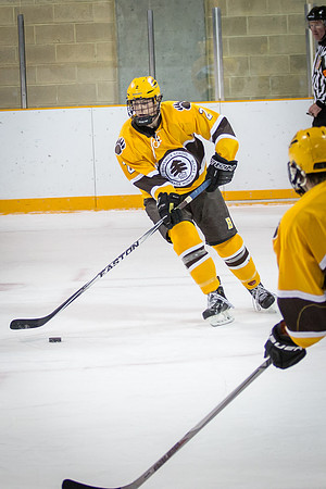 hockey_2016-01-06_jfess_8054