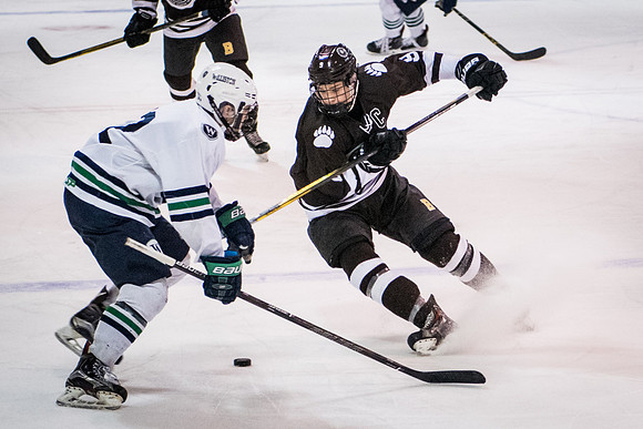 hockey_2018-01-27_wkl_8313