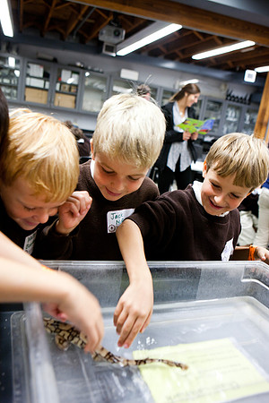 aquarium_ls_mkras_2183