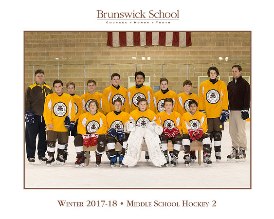 team_winter1718_hockey_ms2