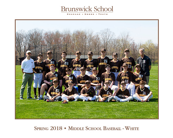 team_spring1718_baseball_ms_white