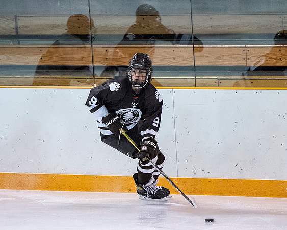 hockey_2022-02-02_dburns1_4620