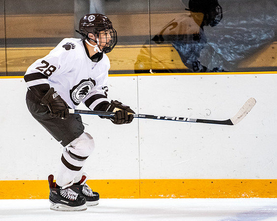 hockey_2018-12-08_dburns_3070