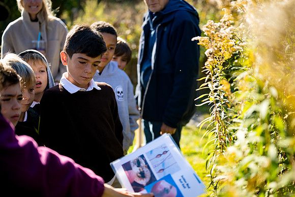 audubon_gr3_ah_0029
