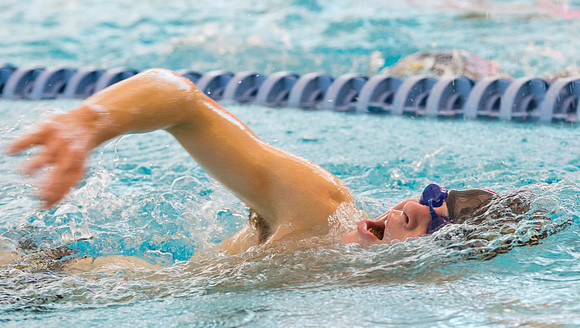 swimming_dburns_5913