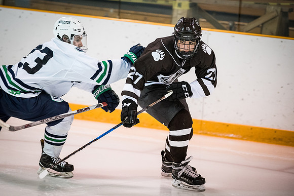 hockey_2018-01-27_wkl_8197