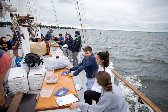 marinebio_soundwater_us_mkras_0372