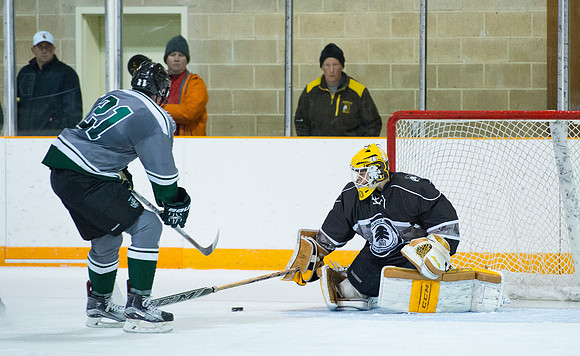 hockey_2016-01-09_dburns_3994