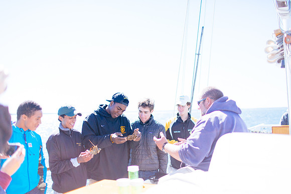 marinebio_soundwaters_jk_7917
