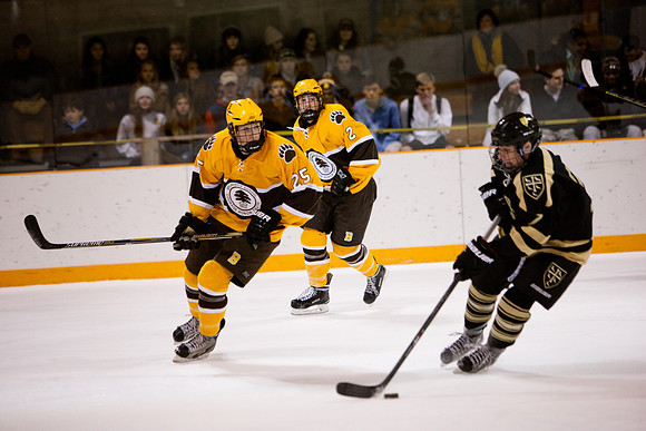 hockey_2014-01-09_westminster_mkras_0111