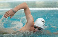 swimming_2021-01-06_dburns_0442