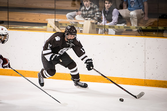 hockey_2018-01-29_wkl_9560