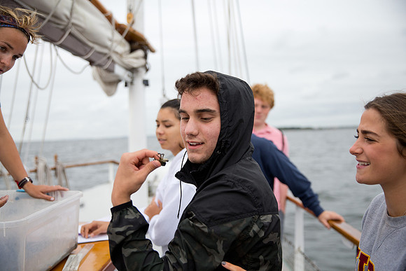 marinebio_soundwater_us_mkras_0121