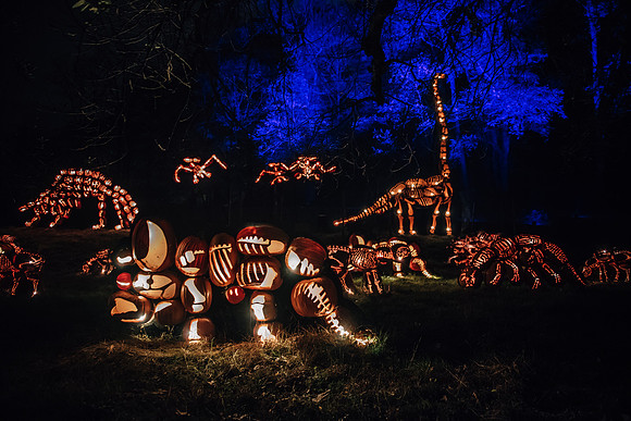 pumpkinblaze17_hp_3744