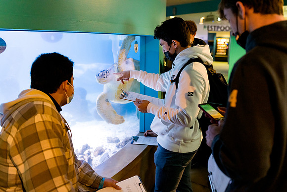aquarium_us_ah_0008