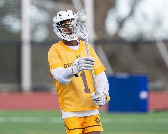lacrosse_DII_2024-04-05_dburns_1060