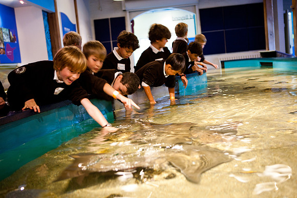 aquarium_ls_mkras_2333