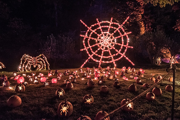 pumpkinblaze_hp_8422