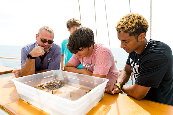 marinebio_soundwaters22_us_ah_0044