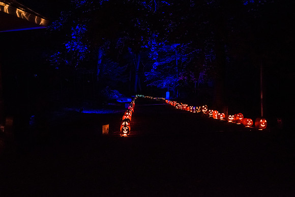 pumpkinblaze16_hp_9293