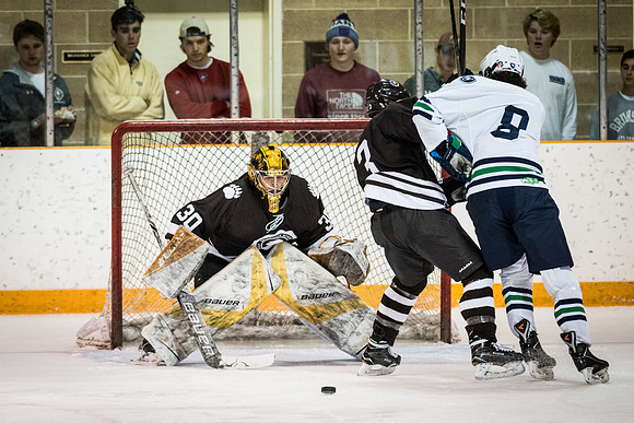 hockey_2018-01-27_wkl_8225
