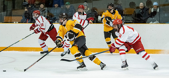 hockey_2019-01-12_dburns_4562