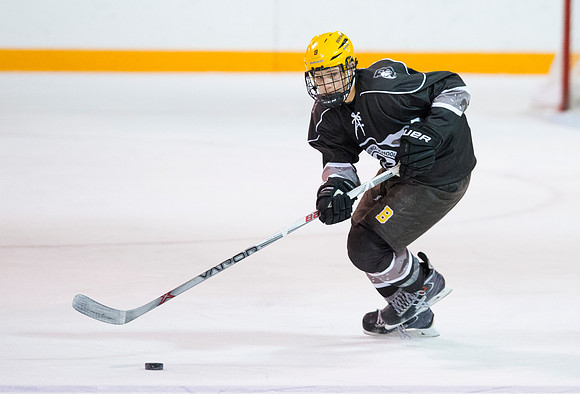 hockey_2016-01-09_dburns_1904