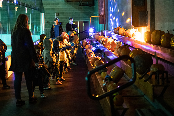 pumpkinparade_psls_wkl_3885