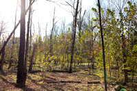 randolphvt1819_trip03_discgolf_bdf_0956