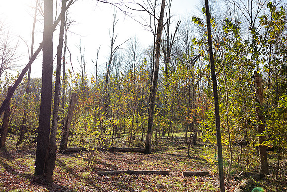 randolphvt1819_trip03_discgolf_bdf_0956