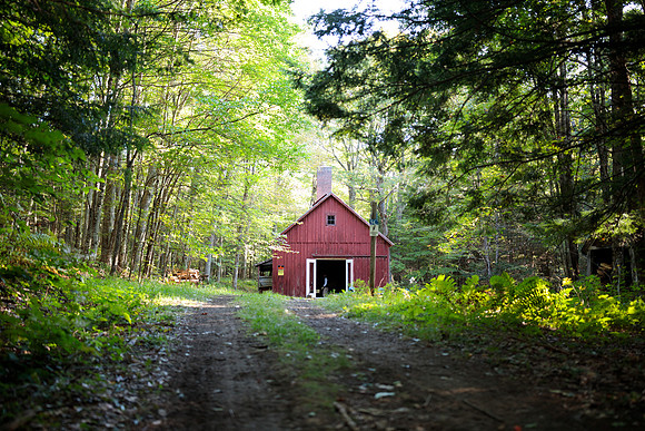 randolphvt1819_trip01_sugarhouse_bdf_2833