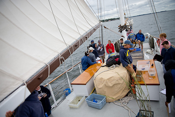marinebio_soundwater_us_mkras_0284