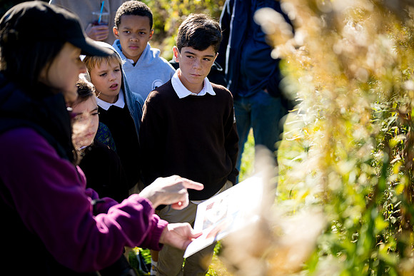 audubon_gr3_ah_0031