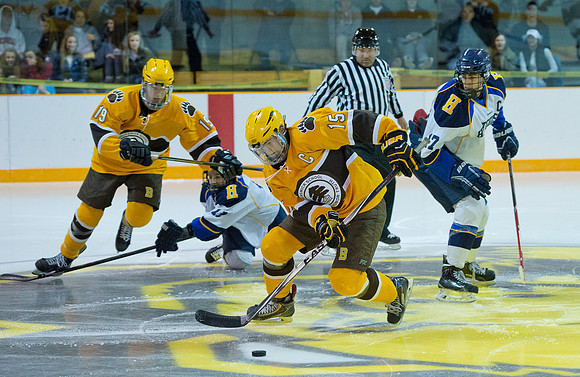 hockey_2014-11-22_hotchkiss_dburns_7748