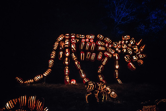 pumpkinblaze17_hp_3448