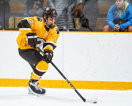 hockey_2019-01-12_dburns_4957