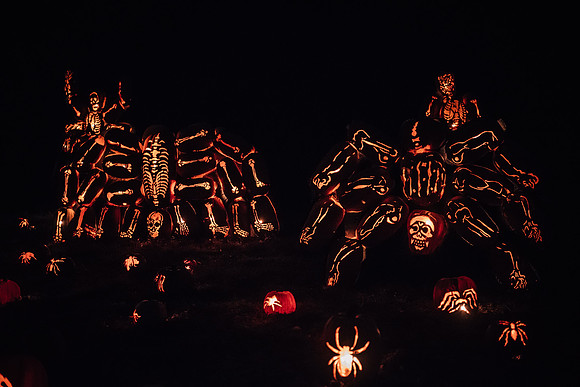 pumpkinblaze17_hp_3393