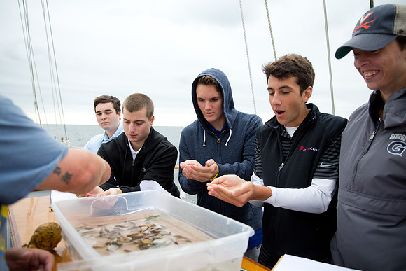 marinebio_soundwater_us_mkras_0192