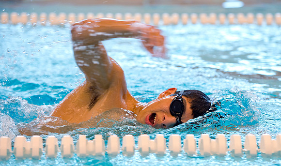swimming_dburns_4442