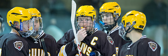 hockey_db_6046