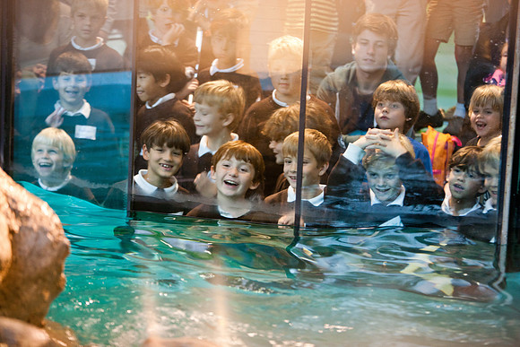 aquarium_ls_mkras_2399