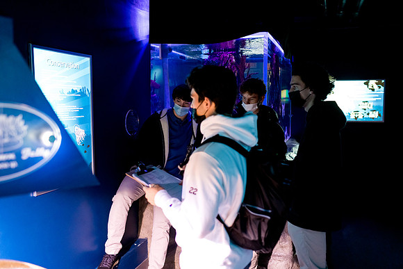 aquarium_us_ah_0013