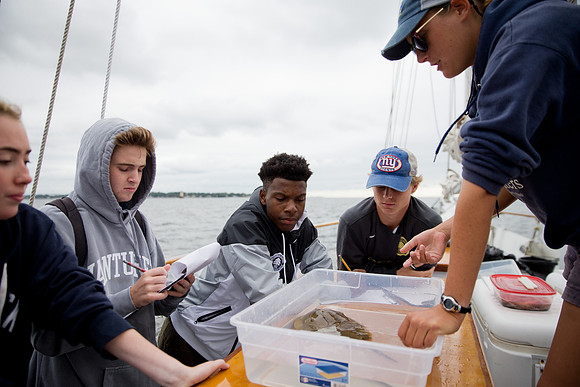marinebio_soundwater_us_mkras_0196