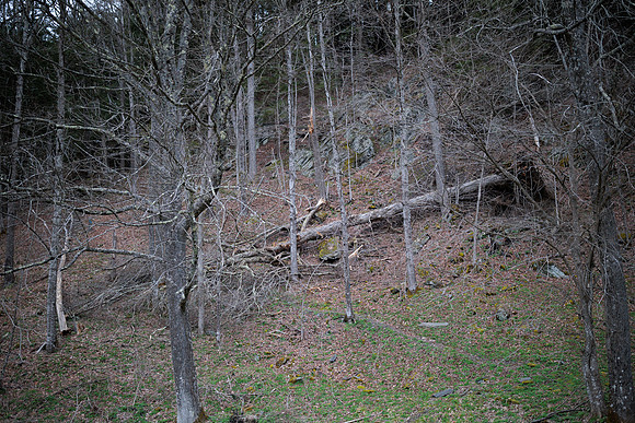 randolphvt2324_trip08-6024_bdf2_5383