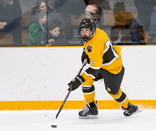 hockey_2019-01-12_dburns_4577